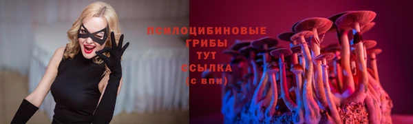 амф Вязьма