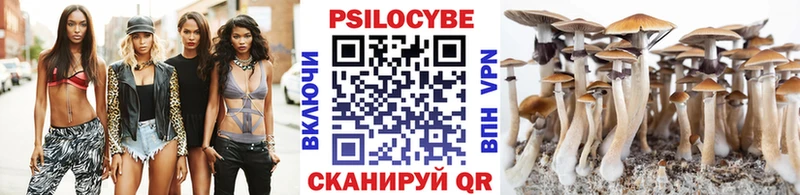 Купить  Мамадыш  Галлюциногенные грибы Cubensis 